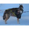 Axaeco T-Shirt Protettiva per cane