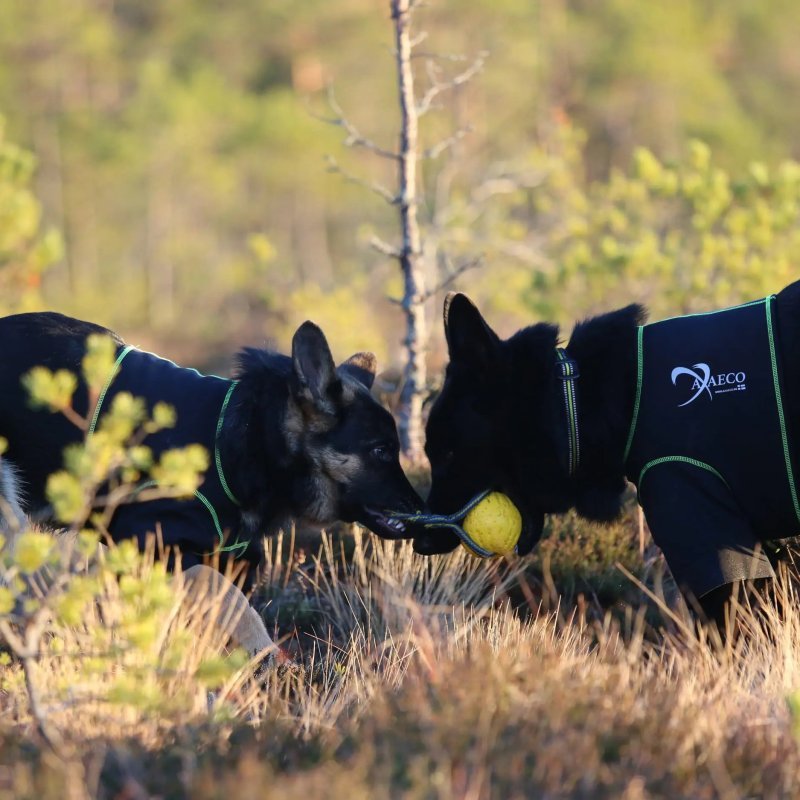 Axaeco T-Shirt Protettiva per cane