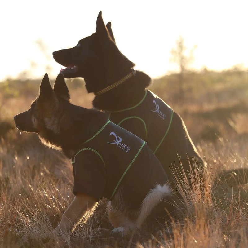 Axaeco T-Shirt Protettiva per cane