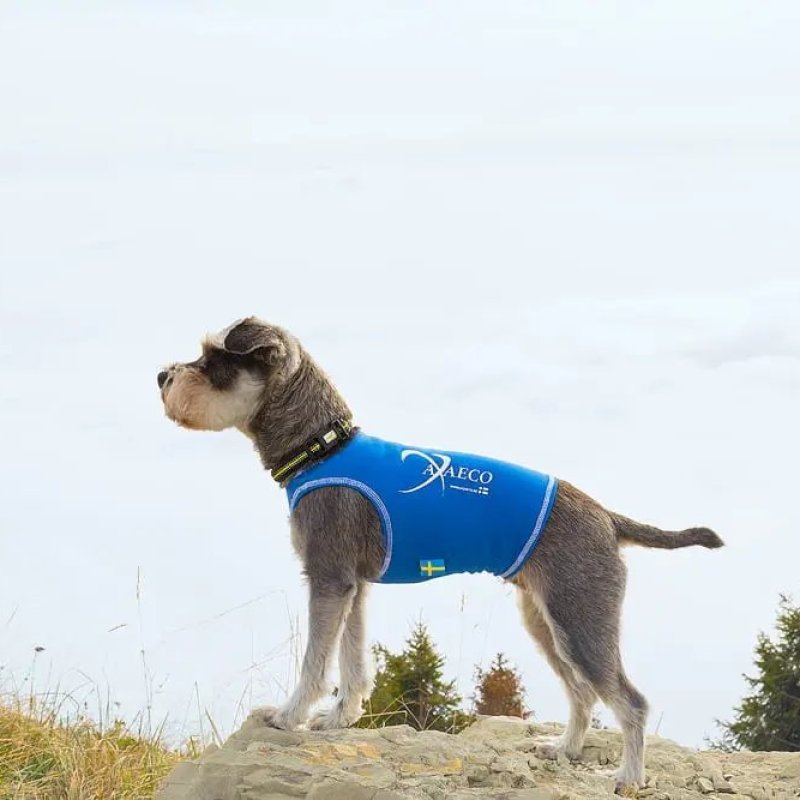 Axaeco Gilet All-Rounder per cane