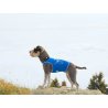 Axaeco Gilet All-Rounder per cane