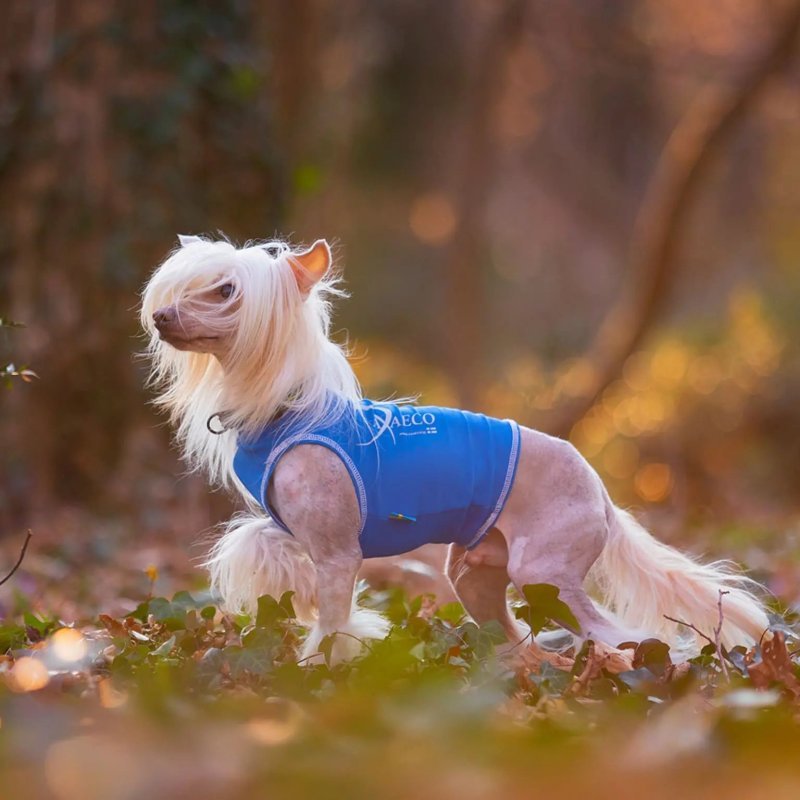 Axaeco Gilet All-Rounder per cane