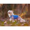 Axaeco Gilet All-Rounder per cane