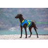 Axaeco Gilet All-Rounder per cane
