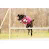 Axaeco Gilet All-Rounder per cane