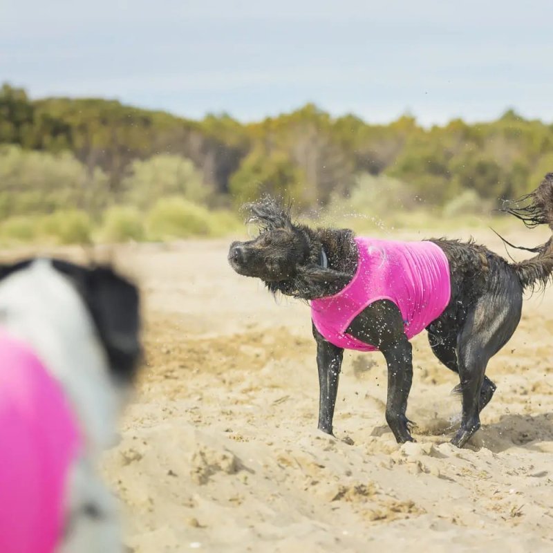 Axaeco Gilet All-Rounder per cane