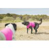 Axaeco Gilet All-Rounder per cane