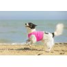 Axaeco Gilet All-Rounder per cane