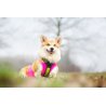 Axaeco Gilet All-Rounder per cane