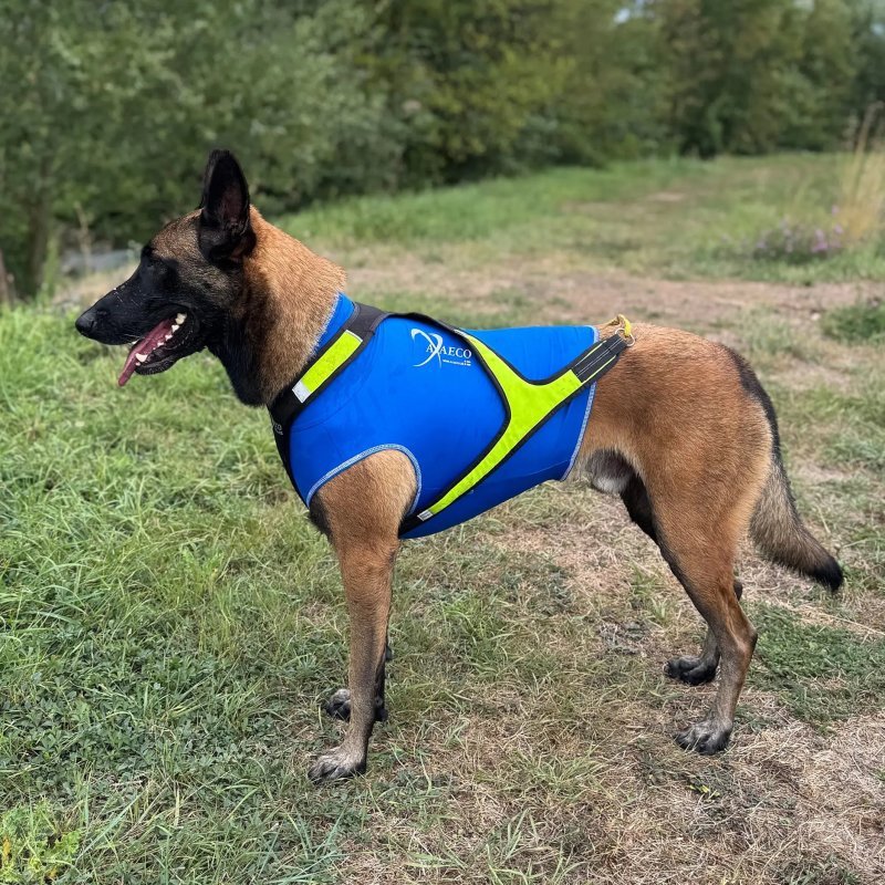 Axaeco Gilet All-Rounder Pro per cane
