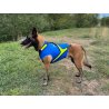 Axaeco Gilet All-Rounder Pro per cane