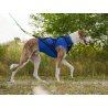 Axaeco Gilet All-Rounder Pro per cane