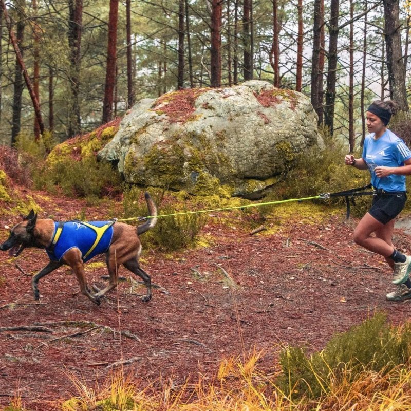 Axaeco Gilet All-Rounder Pro per cane