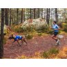 Axaeco Gilet All-Rounder Pro per cane