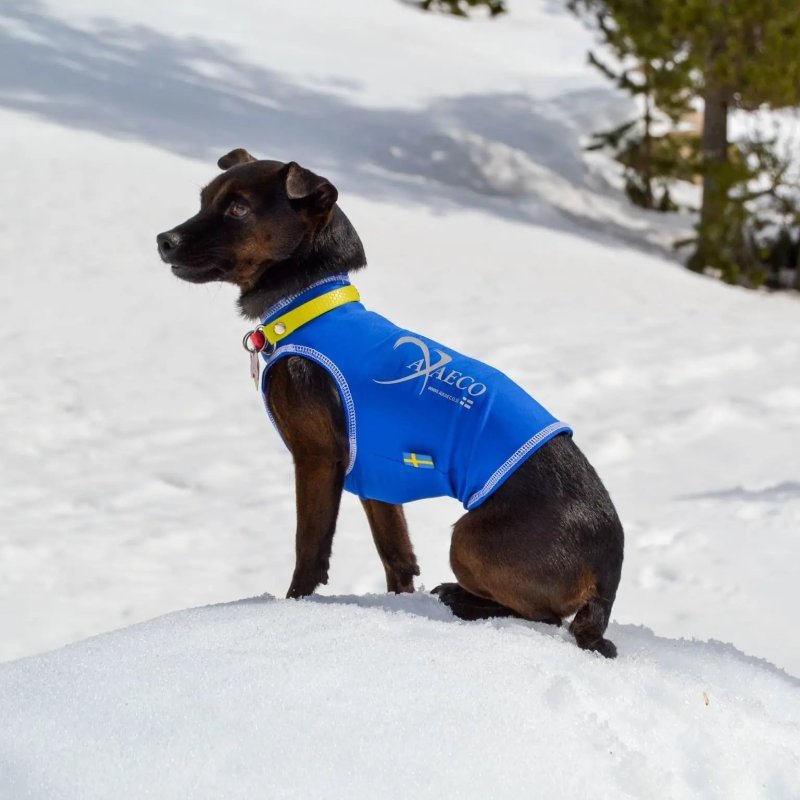 Axaeco Gilet All-Rounder Pro per cane