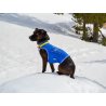 Axaeco Gilet All-Rounder Pro per cane