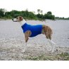 Axaeco Gilet All-Rounder Pro per cane