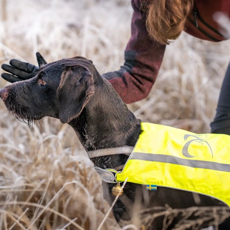Axaeco Gilet Trapper catarifrangente per cane