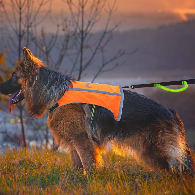 Axaeco Gilet Trapper catarifrangente per cane