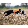 Axaeco Gilet Trapper catarifrangente per cane