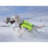 Axaeco Gilet Trapper catarifrangente per cane