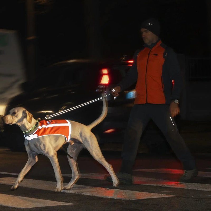 Axaeco Gilet Trapper catarifrangente per cane