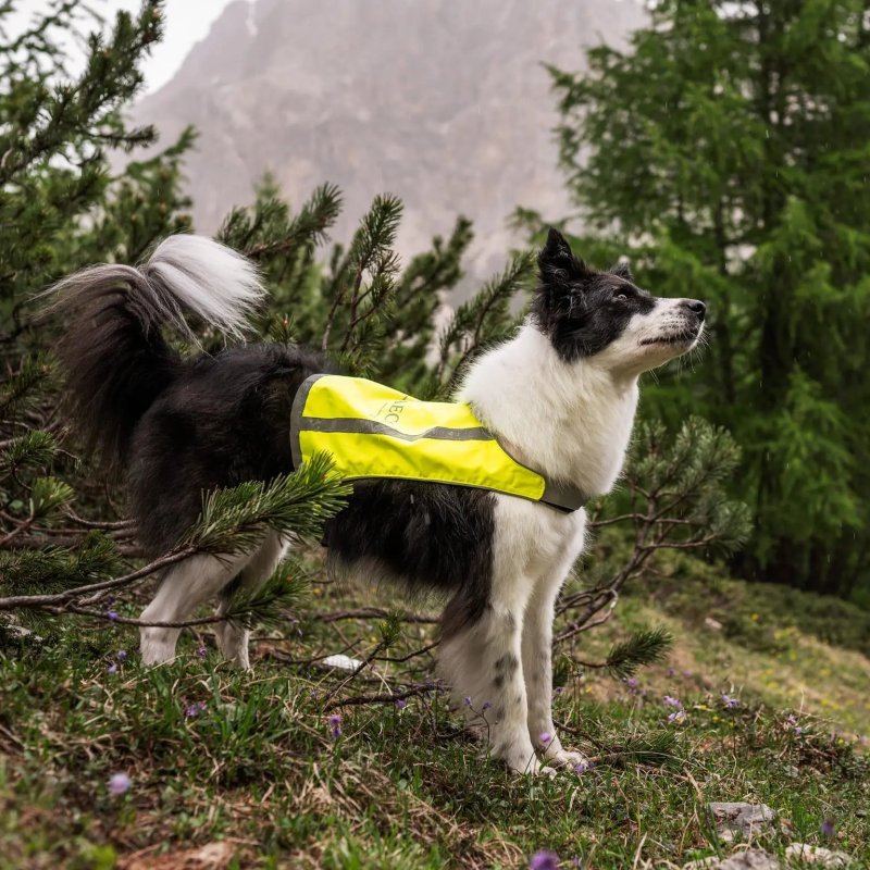 Axaeco Gilet Trapper catarifrangente per cane