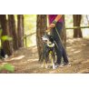 Axaeco Guinzaglio Thor per cane
