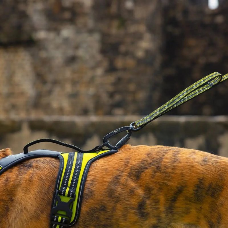 Axaeco Guinzaglio Grip per cane