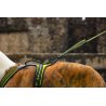 Axaeco Guinzaglio Grip per cane