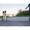 Axaeco Guinzaglio Regolabile Grip per cane