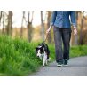 Axaeco Maniglia Grip per cane