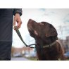 Axaeco Maniglia Grip per cane