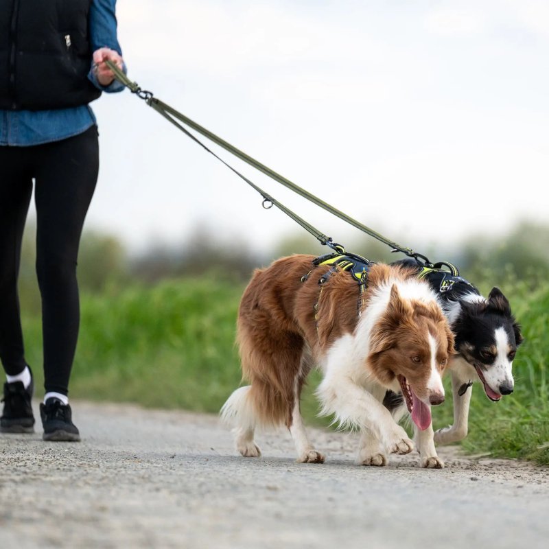 Axaeco Maniglia Grip per cane