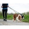 Axaeco Maniglia Grip per cane