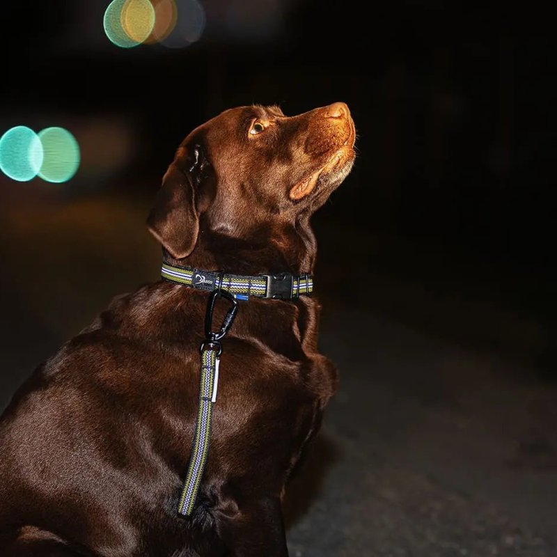 Axaeco Maniglia Grip per cane