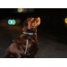 Axaeco Maniglia Grip per cane