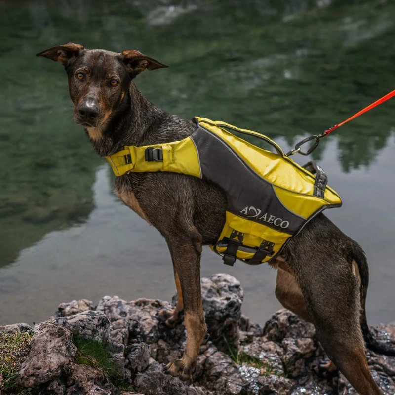 Axaeco Guinzaglio Action per cane