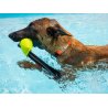 Axaeco Collare Action per cane