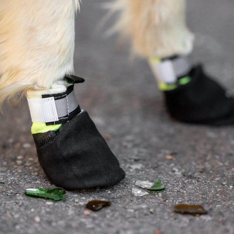 Axaeco Stivaletti Tibesti per cane