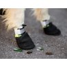 Axaeco Stivaletti Tibesti per cane