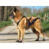 Axaeco Stivaletti Tibesti per cane