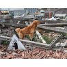 Axaeco Stivaletti Tibesti per cane