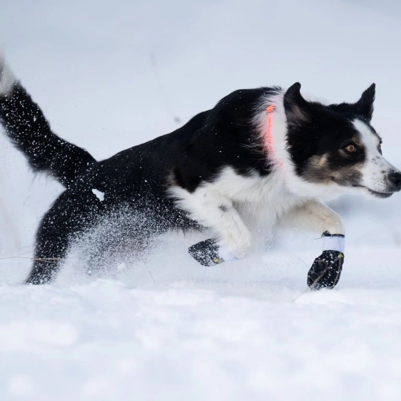 Axaeco Stivaletti Kipmik Duragrip 330D per cane