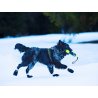 Axaeco Stivaletti Kipmik Duragrip 330D per cane