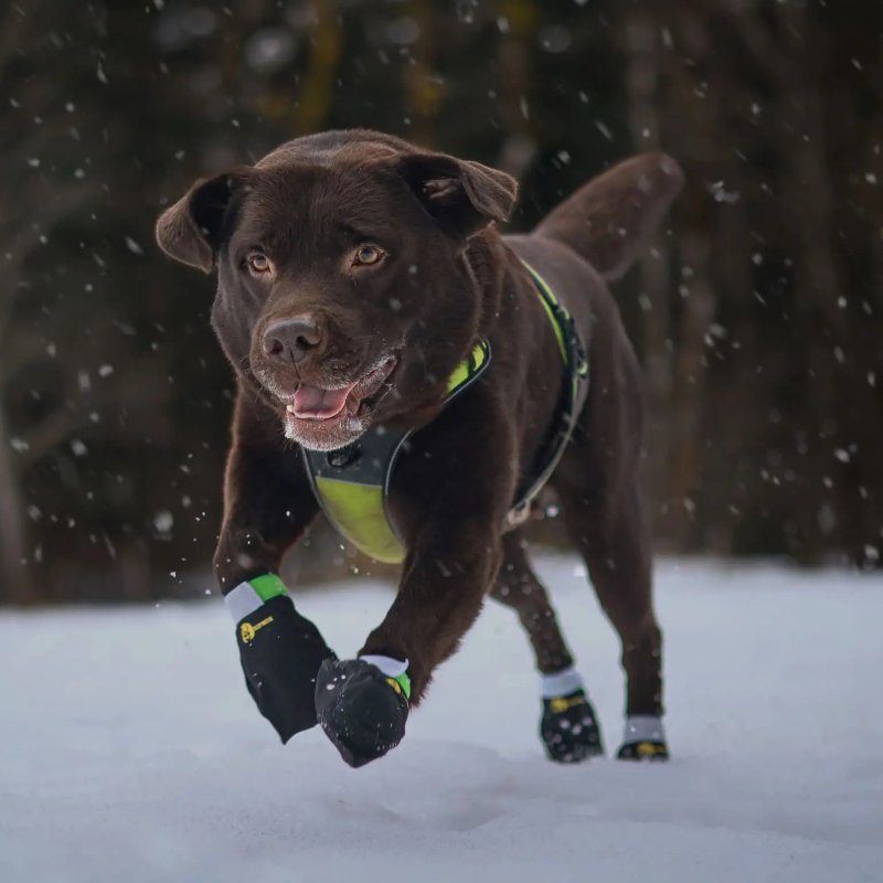 Axaeco Stivaletti Kipmik Duragrip 500D per cane (4pz)