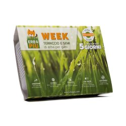 ErbaPiù Kit semina di Erba per Gatti