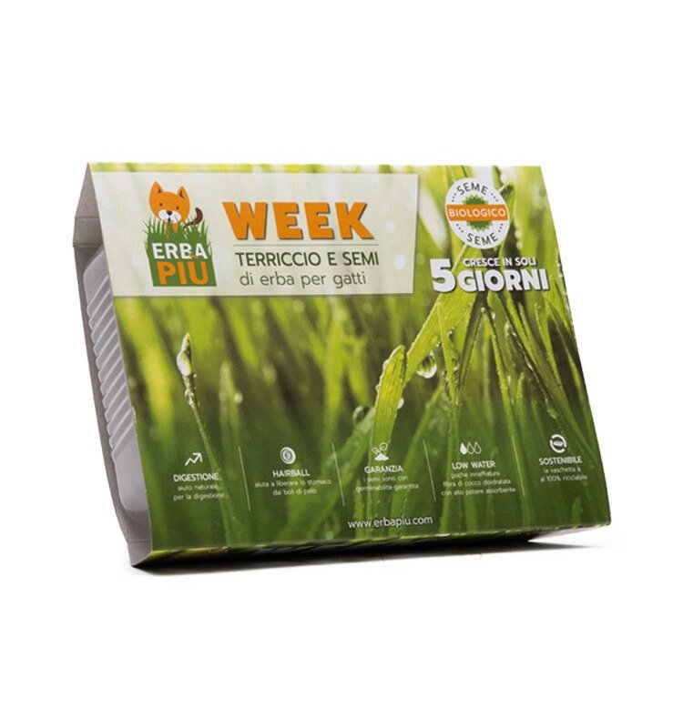 ErbaPiù Kit semina di Erba per Gatti