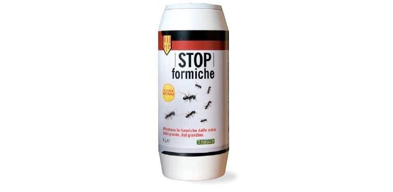 Mai Più Stop Formiche
