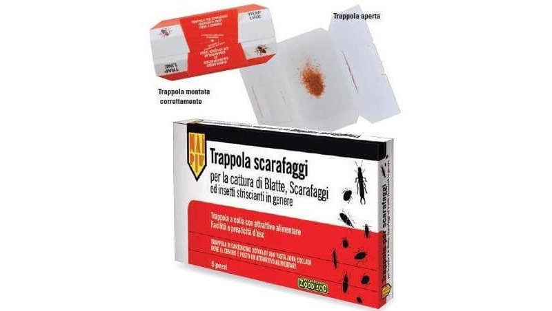 Mai Più Trappola Scarafaggi
